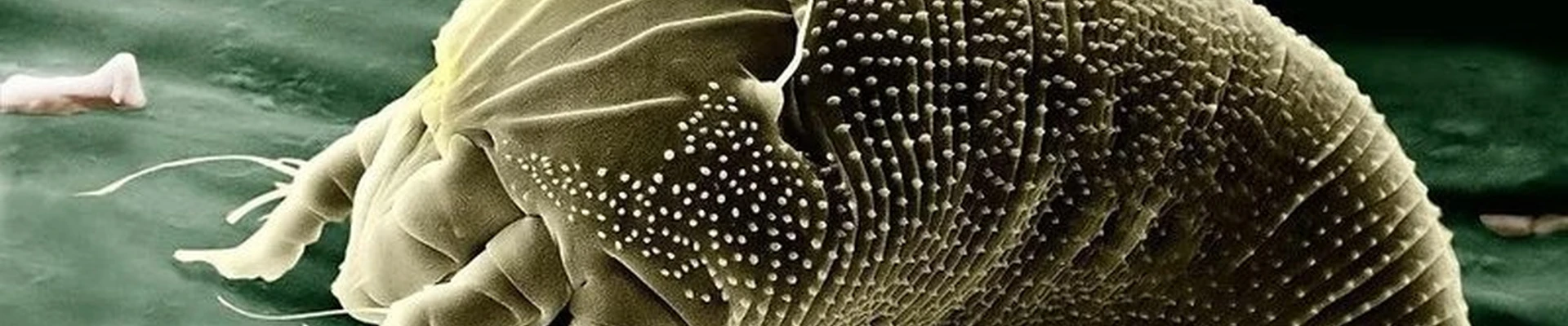 Арго в Гусиноозёрске улица Пушкина, 2