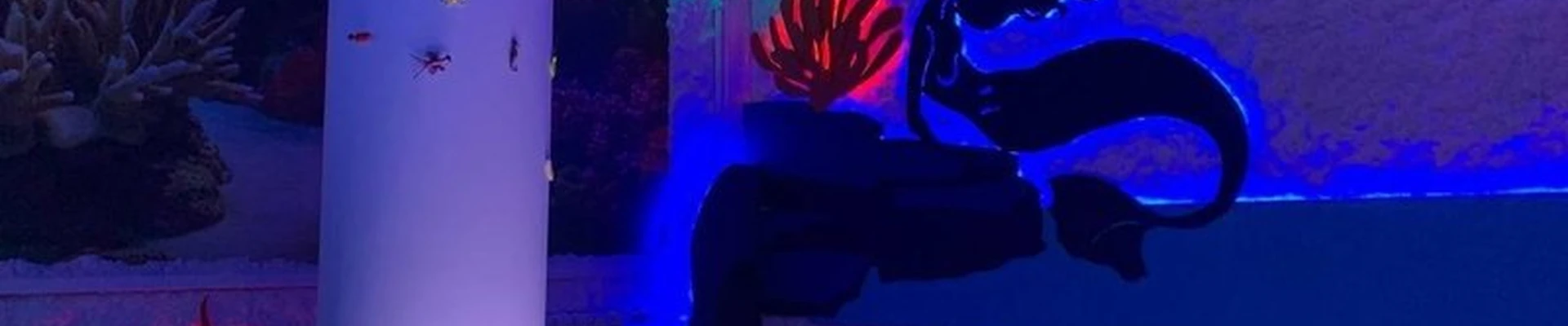 Соль+ в Нижнеудинске улица Гоголя, 83