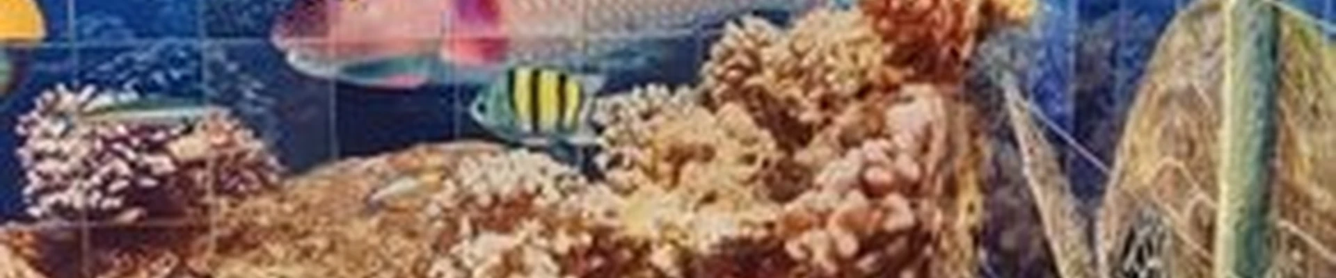 Аквакомплекс