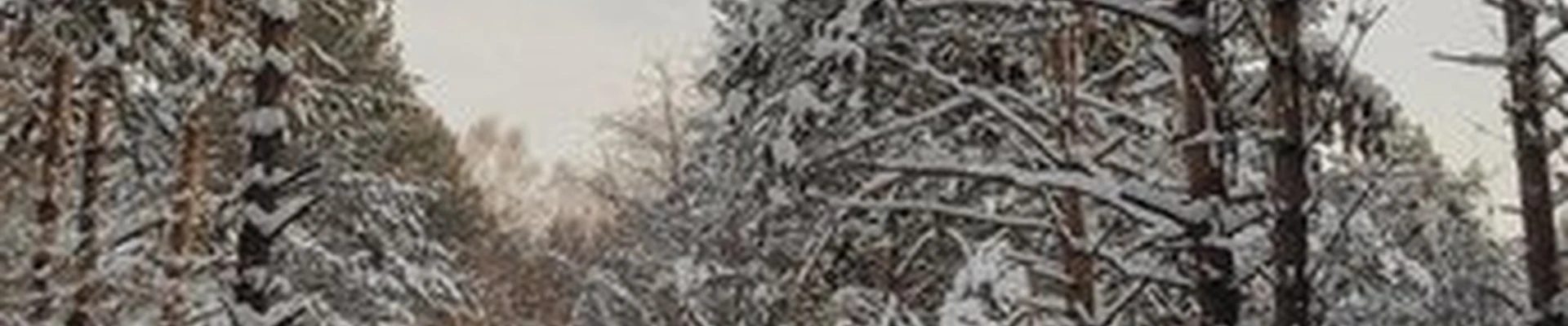 Лыжно-спортивный комплекс