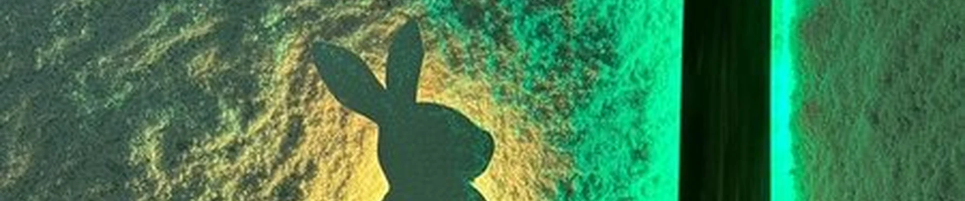 Nova в Красноярске улица Кутузова, 73