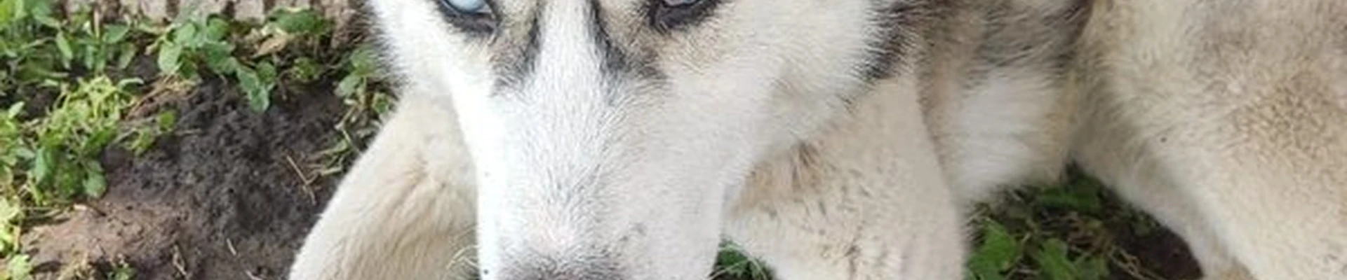 Вдохни здоровье