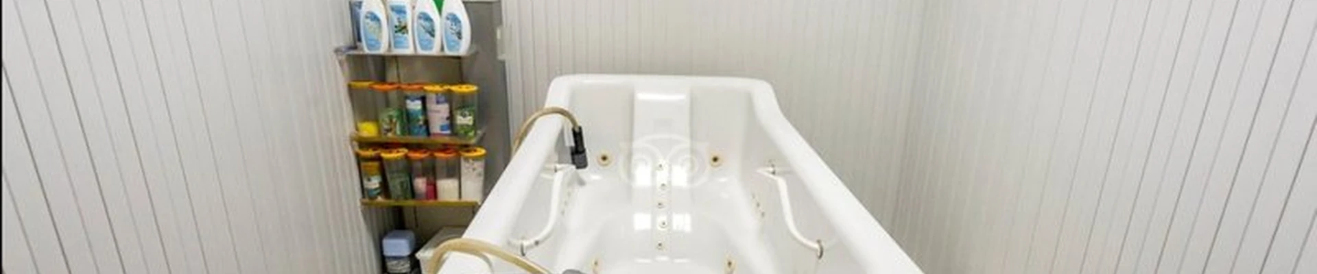 Лотос в Сочи Курортный проспект, 72