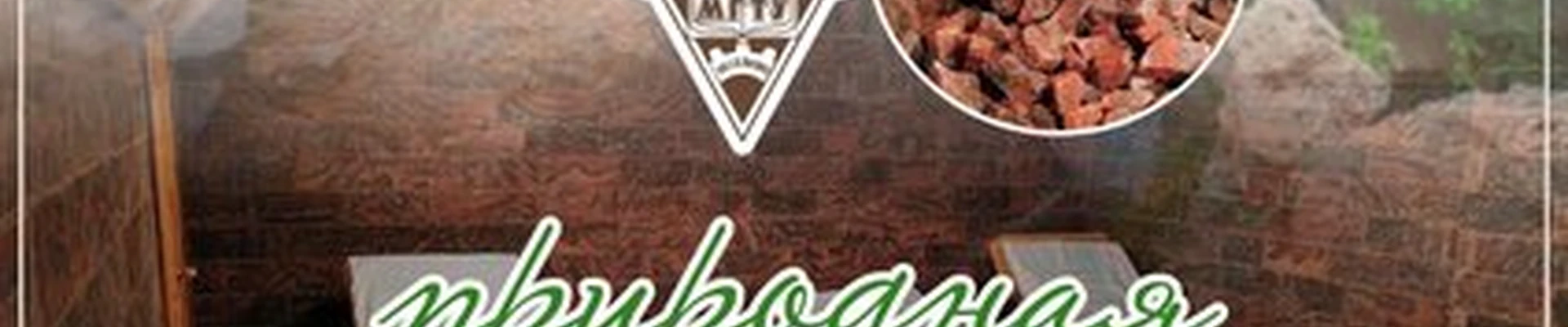 МГТУ им. Г.И. Носова