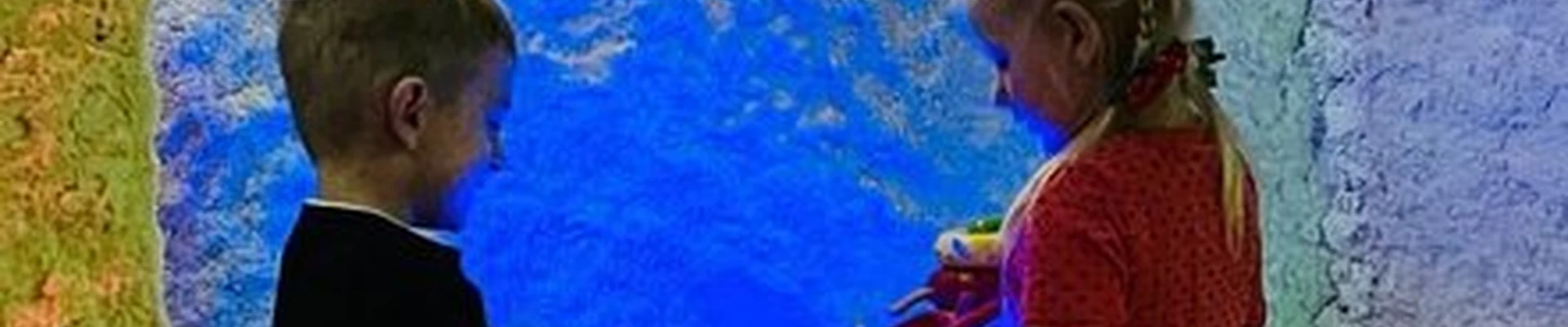 А-Соль в Смоленске Трудовая улица, 2а