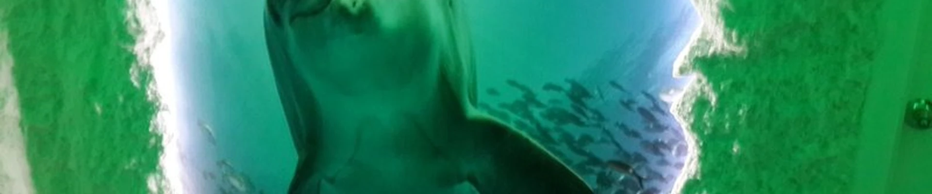 Галит в Хабаровске улица Ворошилова, 29Б