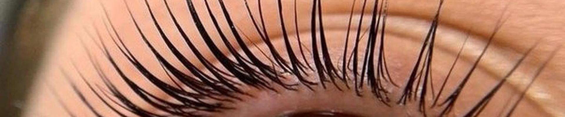 Перламутр в Калининграде Виллима Фермора, 6