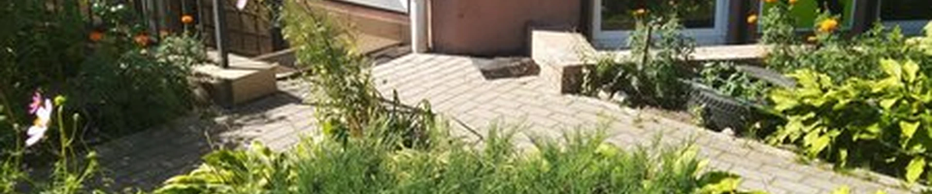 Сафари в Калининграде улица Толбухина, 6