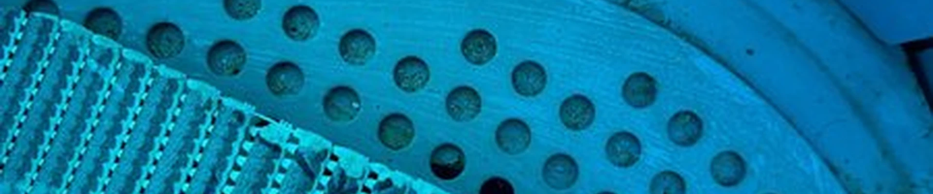 Шиколад в Калининграде Ульяны Громовой, 5