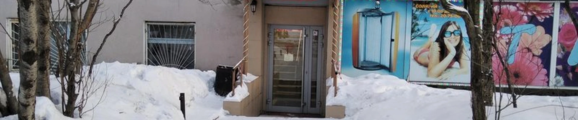 Барбарис в Мурманске улица Полярные Зори, 33/1