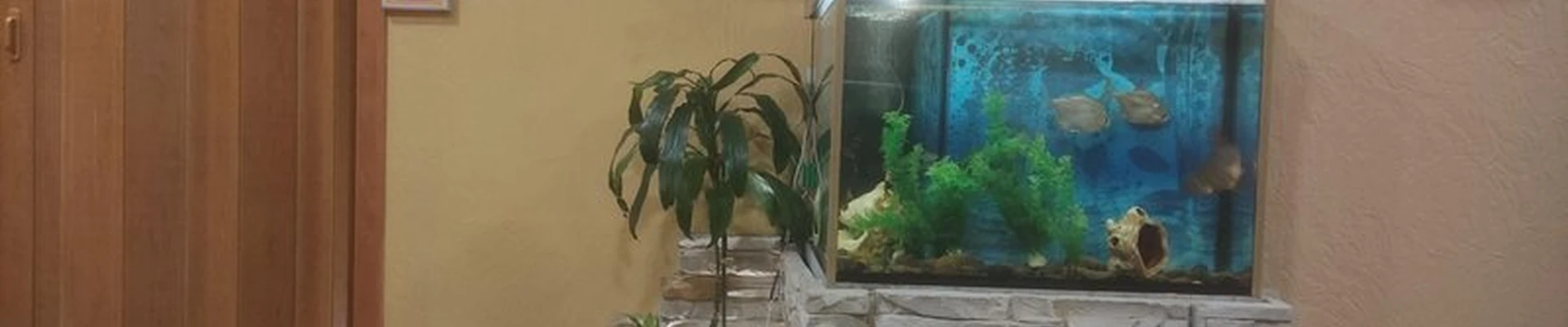 Бронзарий в Мурманске улица Воровского, 5/23