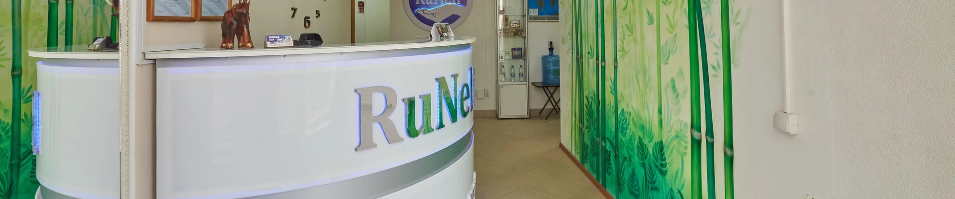 RuNeli