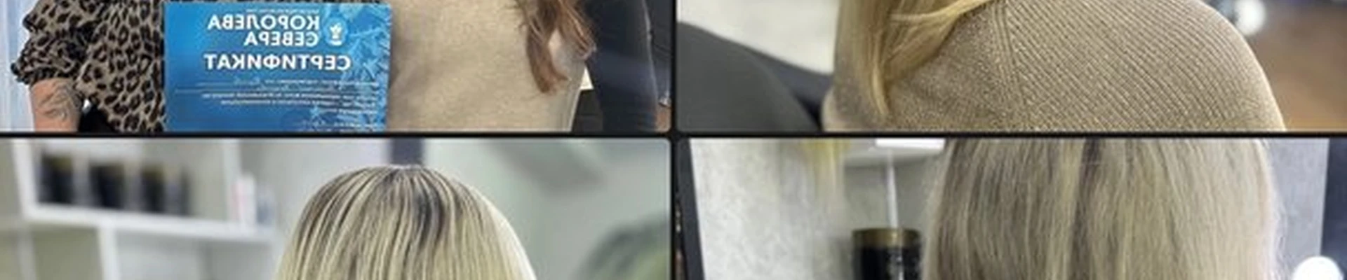 Королева Севера