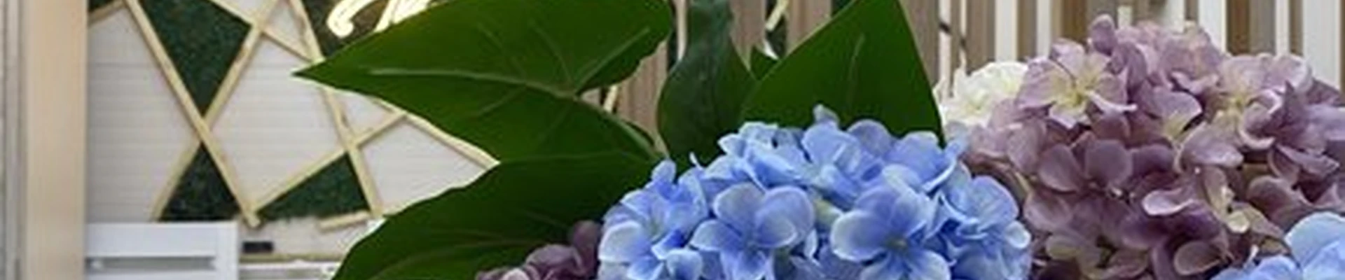 Viki в Новокузнецке улица Тореза, 61в