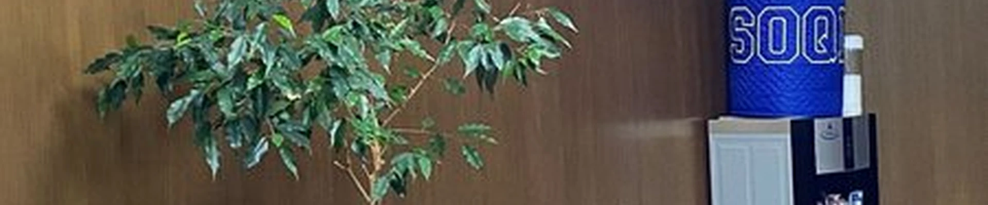 Soqi