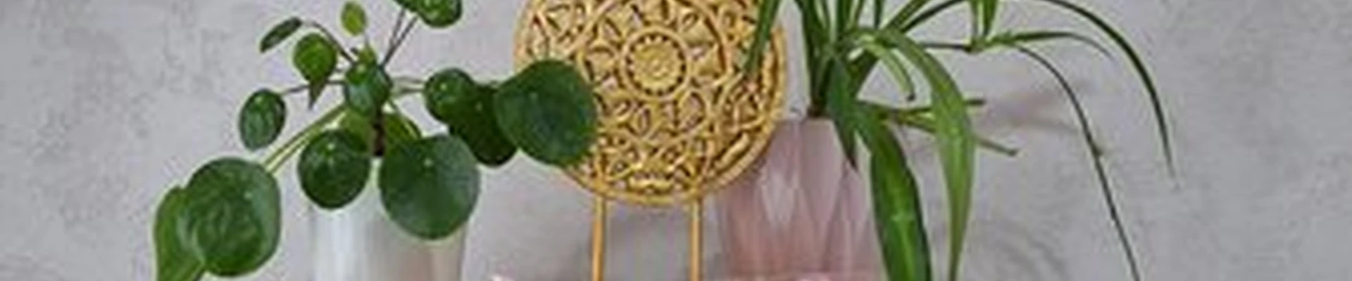 Точка Добра