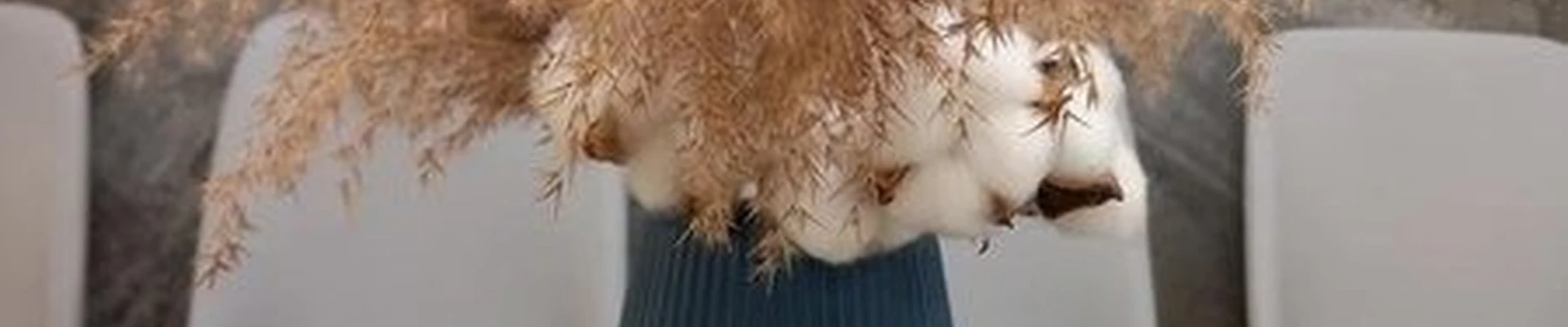 Beauty Coworking в Благовещенске улица Чайковского, 7