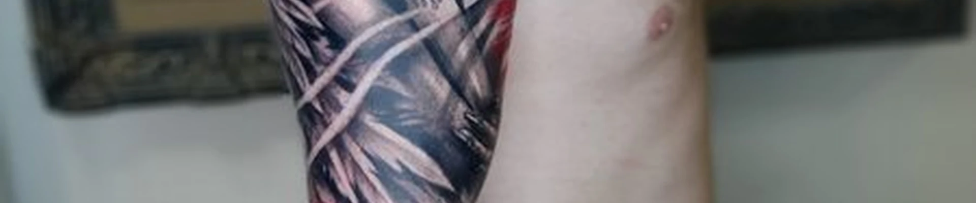 Ден Плотников