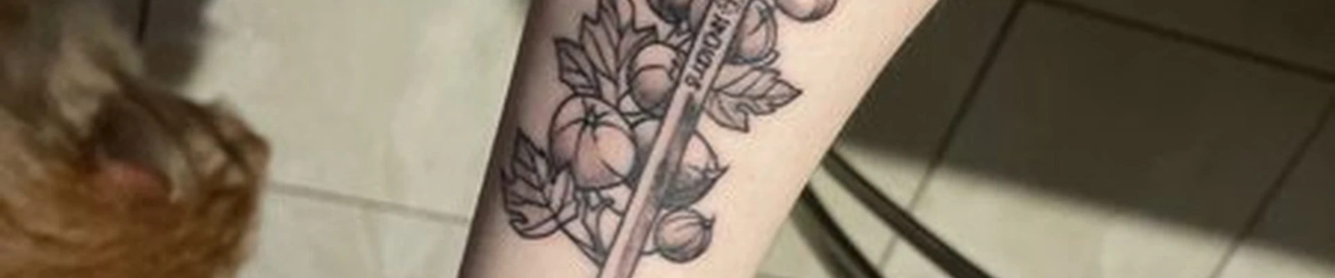 Cranium в Санкт-петербурге Гражданский проспект, 41 лит А