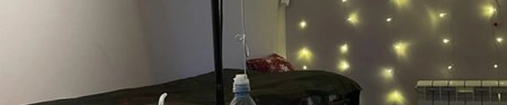 vodopyanovaa_