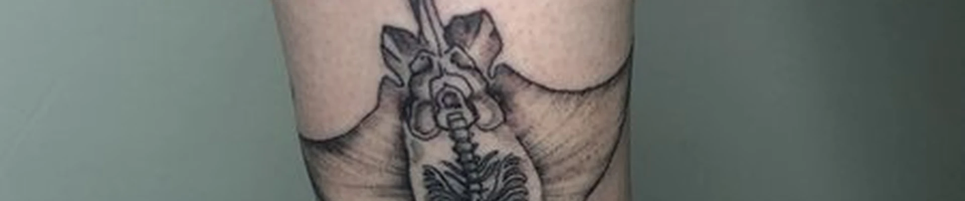 Apollo в Тамбове Свободная улица, 12