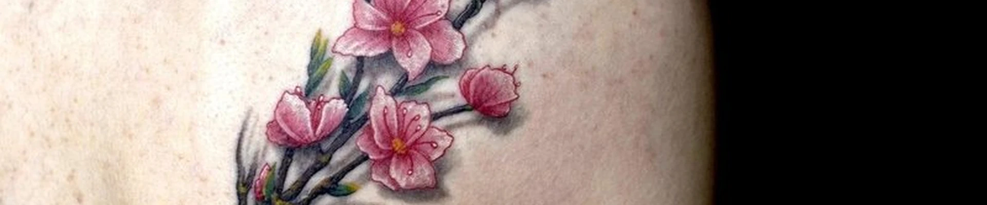 Мастер в Чите улица Богомягкова, 12а