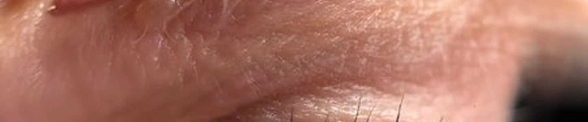 Paint в Южно-сахалинске улица Ленина, 131