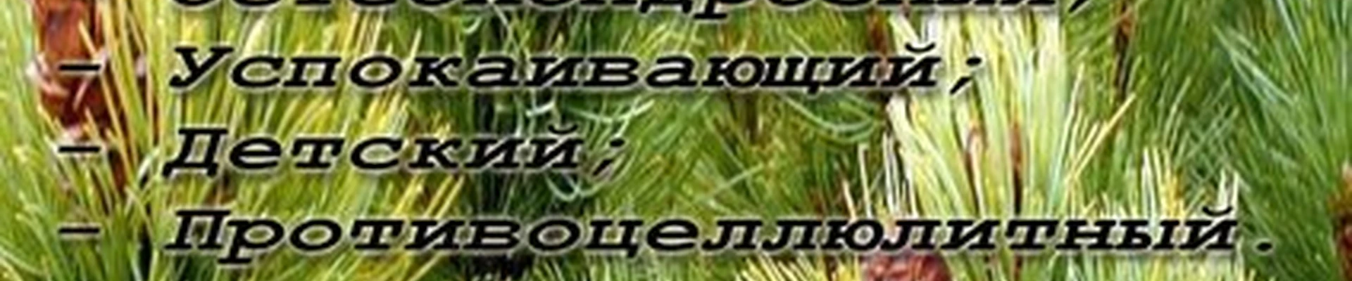 Олимп в Железногорске Северная улица, 1г