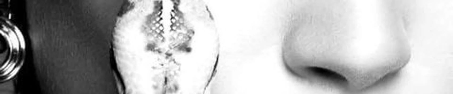 NVA studio в Владивостоке Мичуринская улица, 2