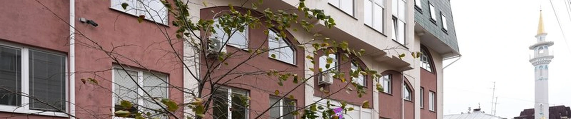 Три слона в Самаре улица Алексея Толстого, 75