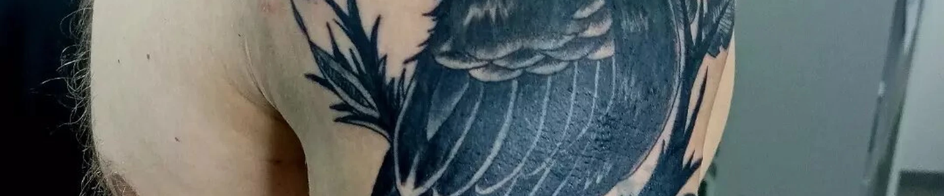 Platinum Tattoo в Бийске Алтайский край, Бийск, Горно-Алтайская, 43, 23 офис; 1 этаж; правое крыло