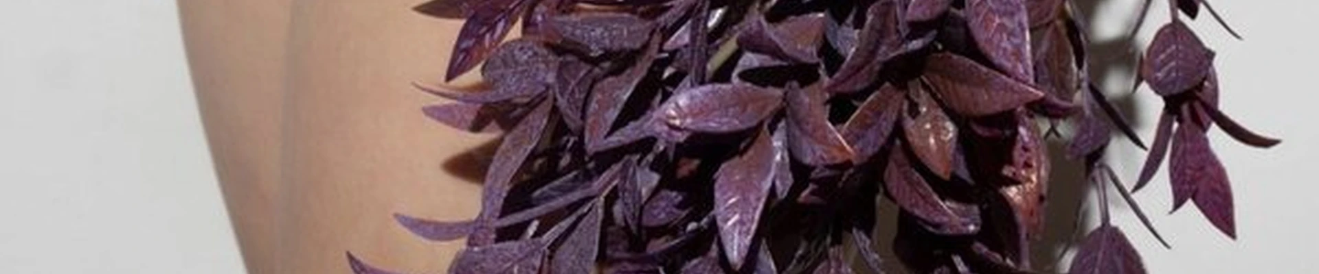 Стимул в Нижний тагиле улица Карла Маркса, 69