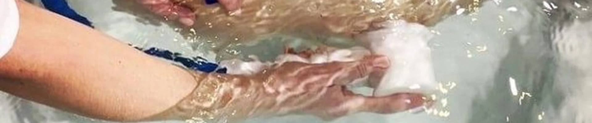 Водный цветок