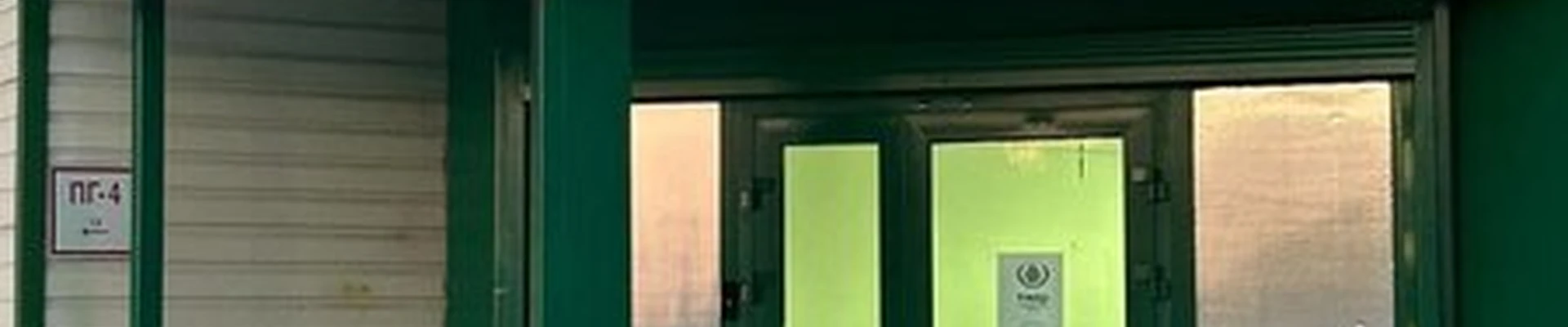 Кедр в Ноябрьске 60 лет СССР улица, 56