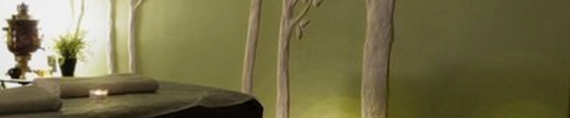 Здравница в Санкт-петербурге Благодатная улица, 47