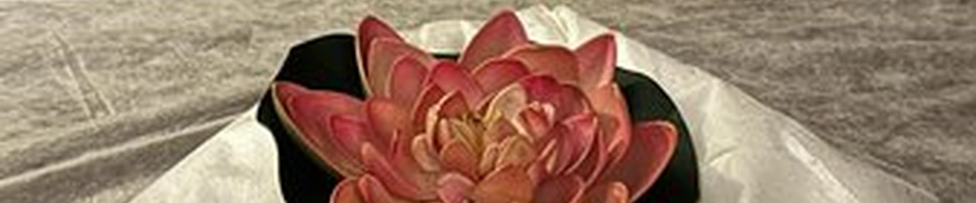 TAITERA в Уфе Гоголя, 29