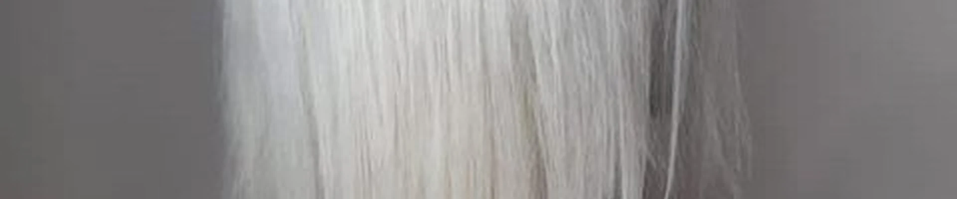 Adel в Воронеже проспект Труда, 68