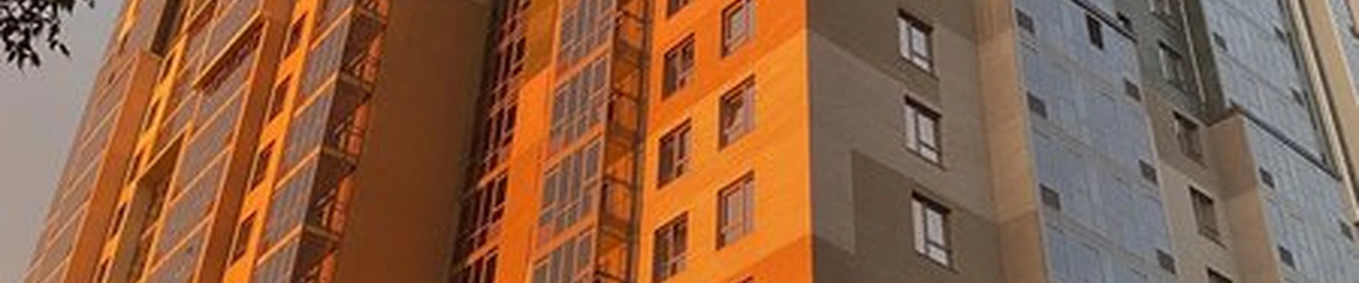 Alla Voronova Stydio