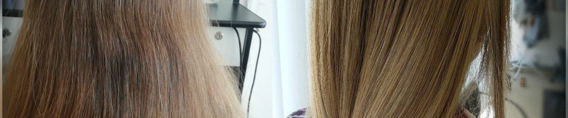 Дикая кошка