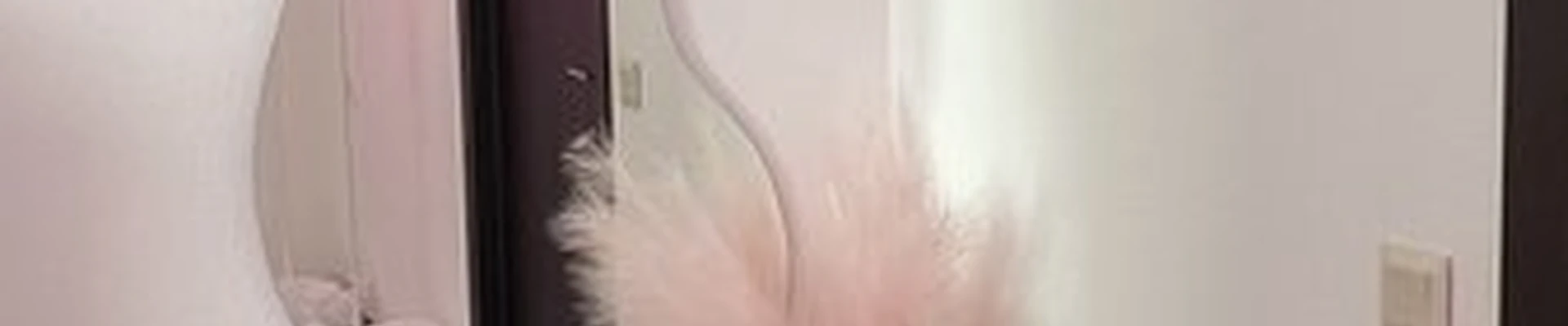 Asya_skin