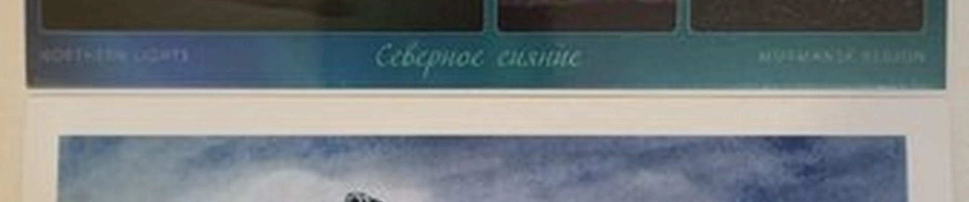 Beauty space в Мурманске улица Капитана Егорова, 14