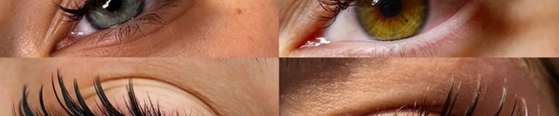 Ari lash