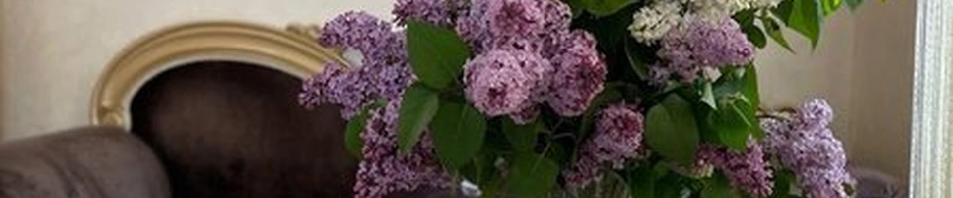 Apriori в Черкесске Первомайская улица, 41