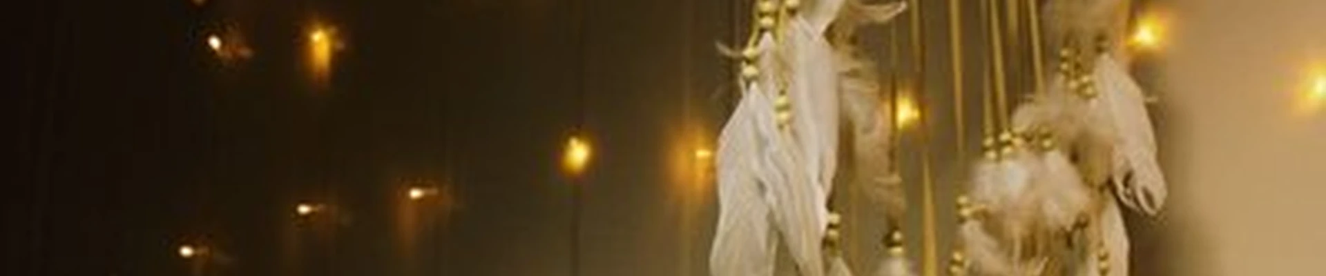 Белые Крылья