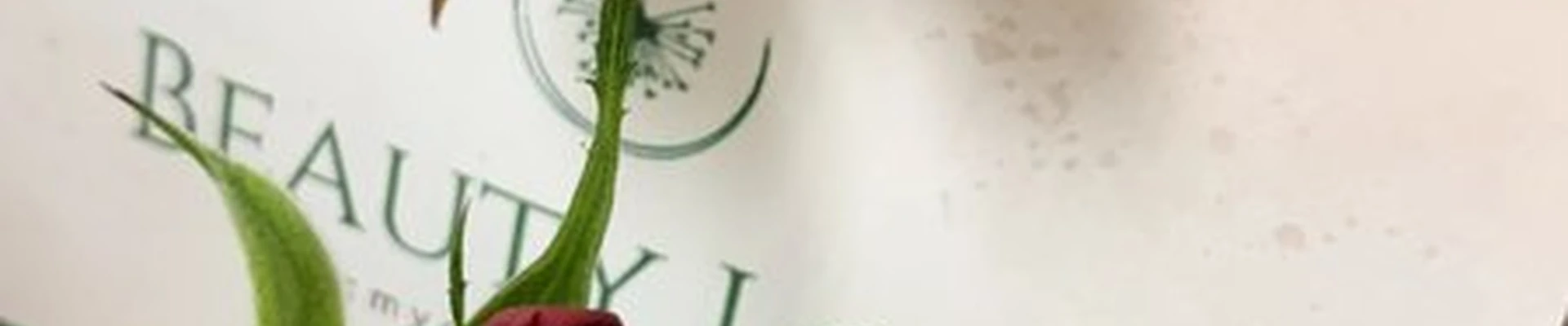 Beauty Love в Северодвинске улица Карла Маркса, 21