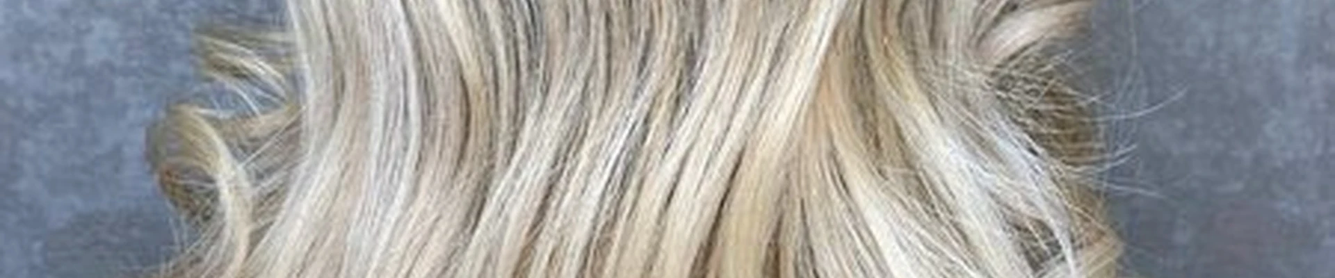 Beauty Blend