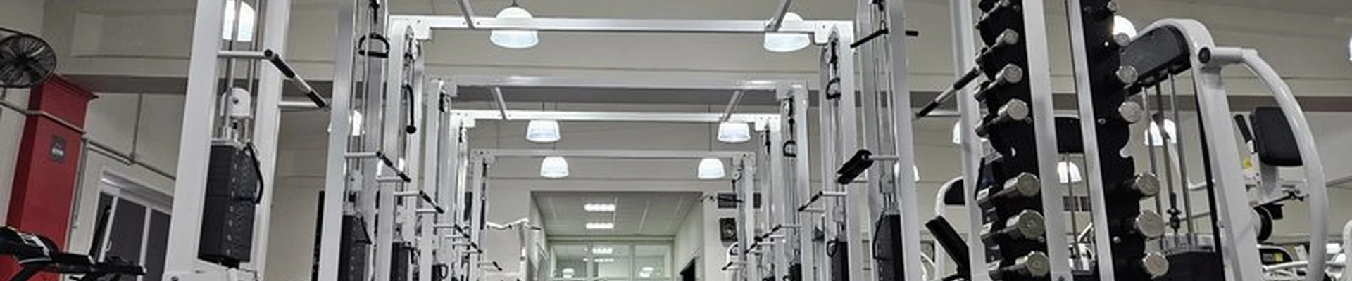 AF Gym