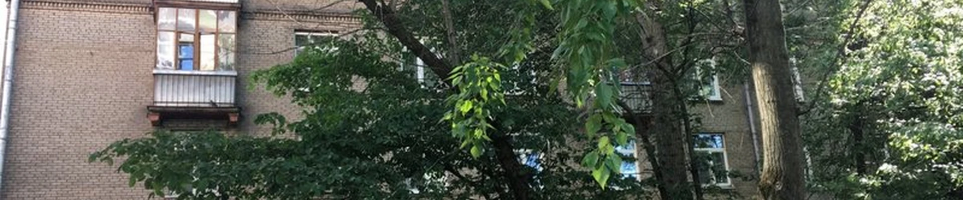 #РукаЛицо