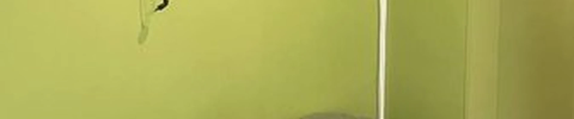 Abc-медицина в Москве улица Пырьева, 9 к3