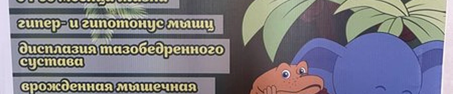 38 попугаев